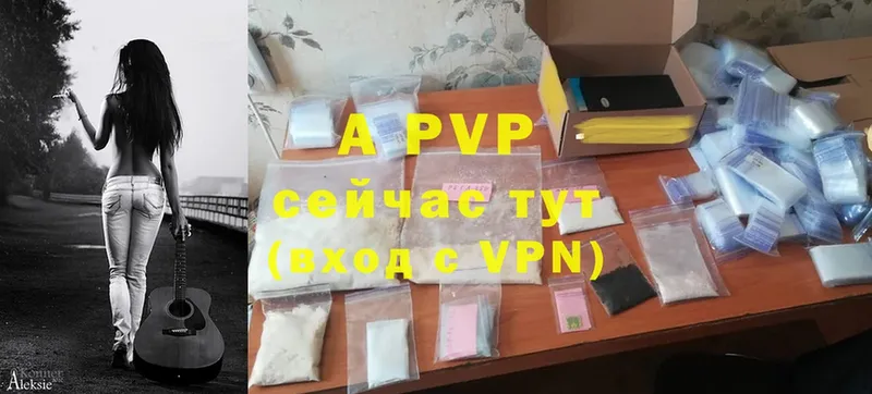 A-PVP СК  Жуков 