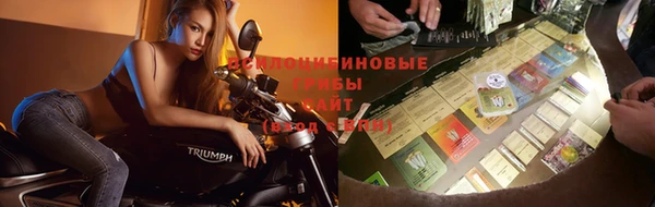 ПСИЛОЦИБИНОВЫЕ ГРИБЫ Лихославль