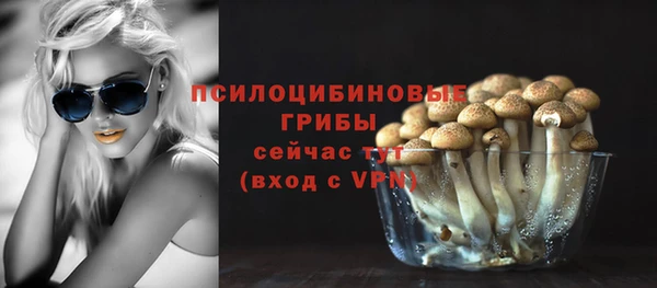 ПСИЛОЦИБИНОВЫЕ ГРИБЫ Лихославль