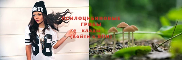 прущий лед Лиски