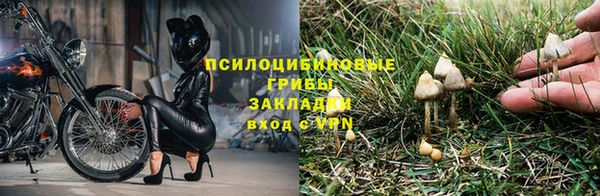 прущий лед Лиски