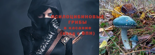 a pvp Липки
