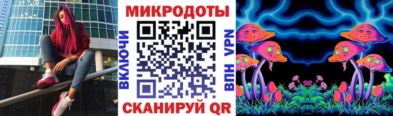 omg онион  Жуков  Галлюциногенные грибы мицелий 